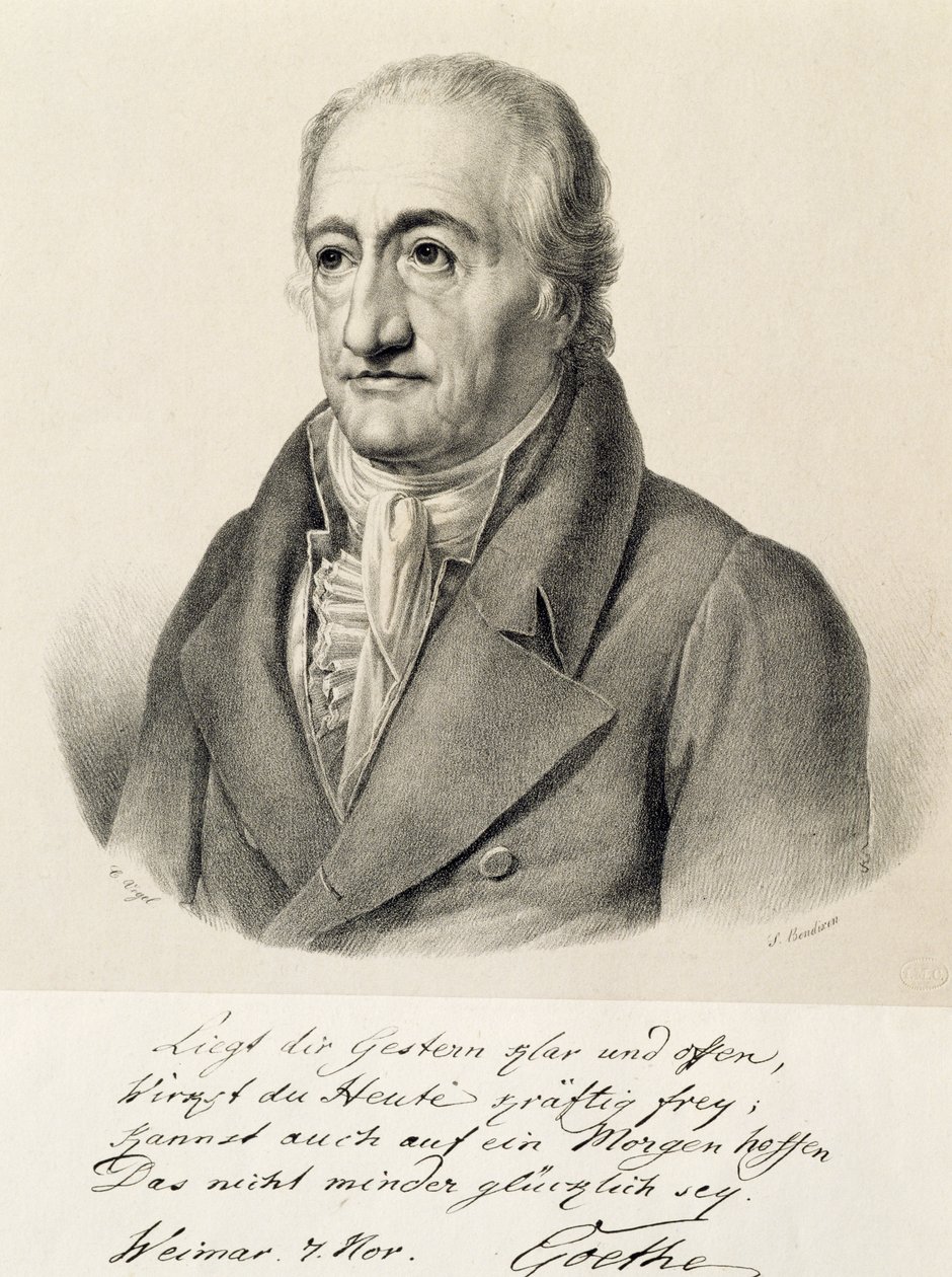 Picha ya Johann Wolfgang von Goethe (Frankfurt av Carl Christian Vogel von Vogelstein