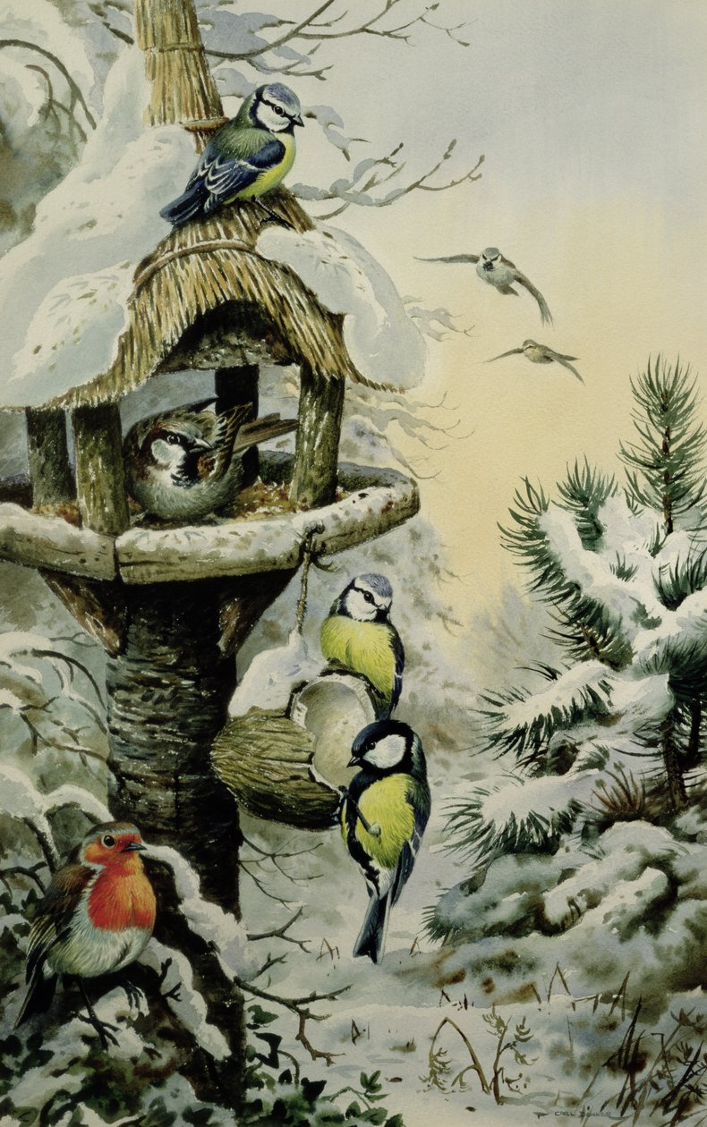 Vinterfågelbord med blåmesar, talgoxar, gråsparvar och en rödhake av Carl Donner