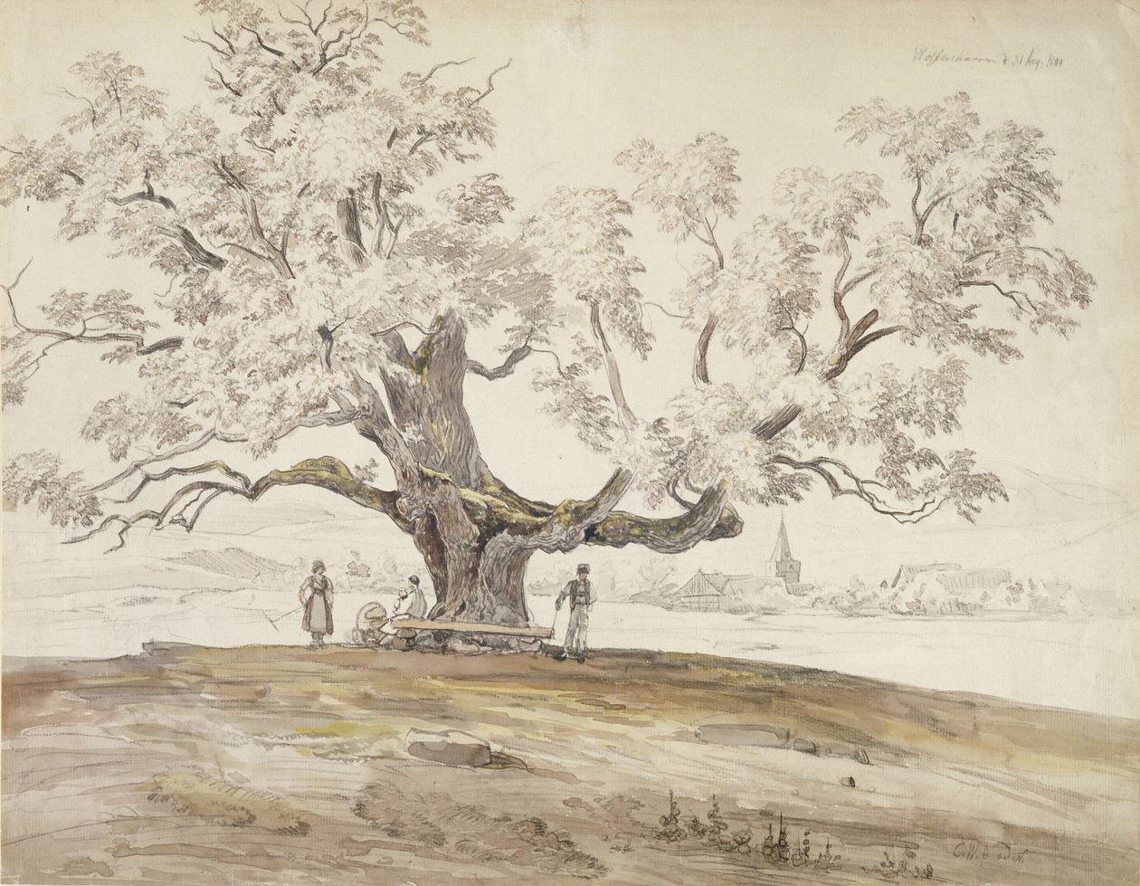 Utsikt över Wolfershausen bei Meiningen med ett gammalt ekträd, 1844 (grafit & wc på papper) av Carl Ernst Ludwig Wagner