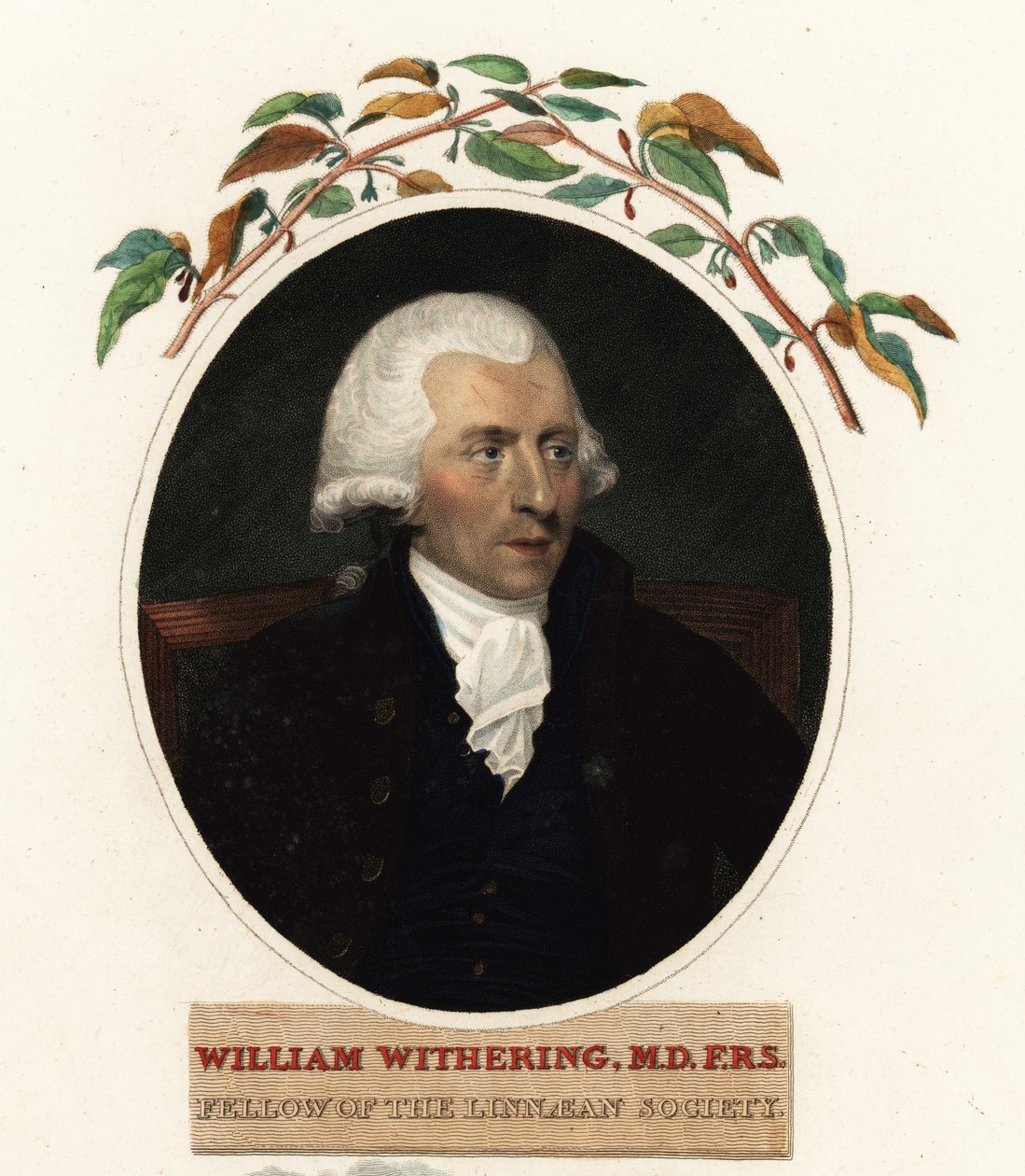 Porträtt av William Withering, läkare och botaniker av Carl Frederik van (after) Breda