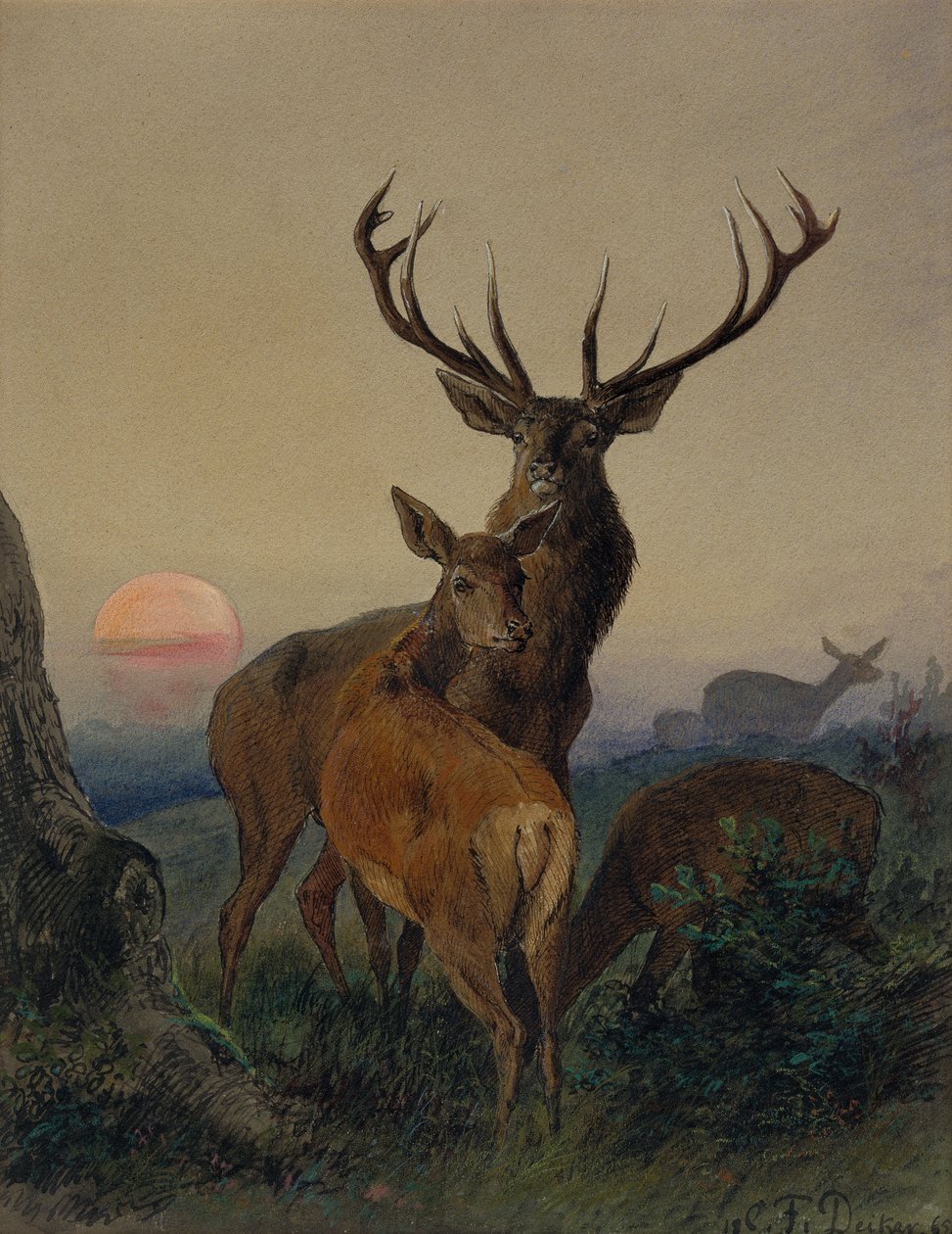 En hjort med ett rådjur i ett skogslandskap vid solnedgången av Carl Friedrich Deiker