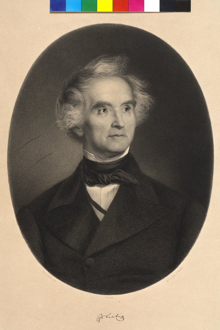 Justus Baron von Liebig av Carl Friedrich Wilhelm (after) Trautschold