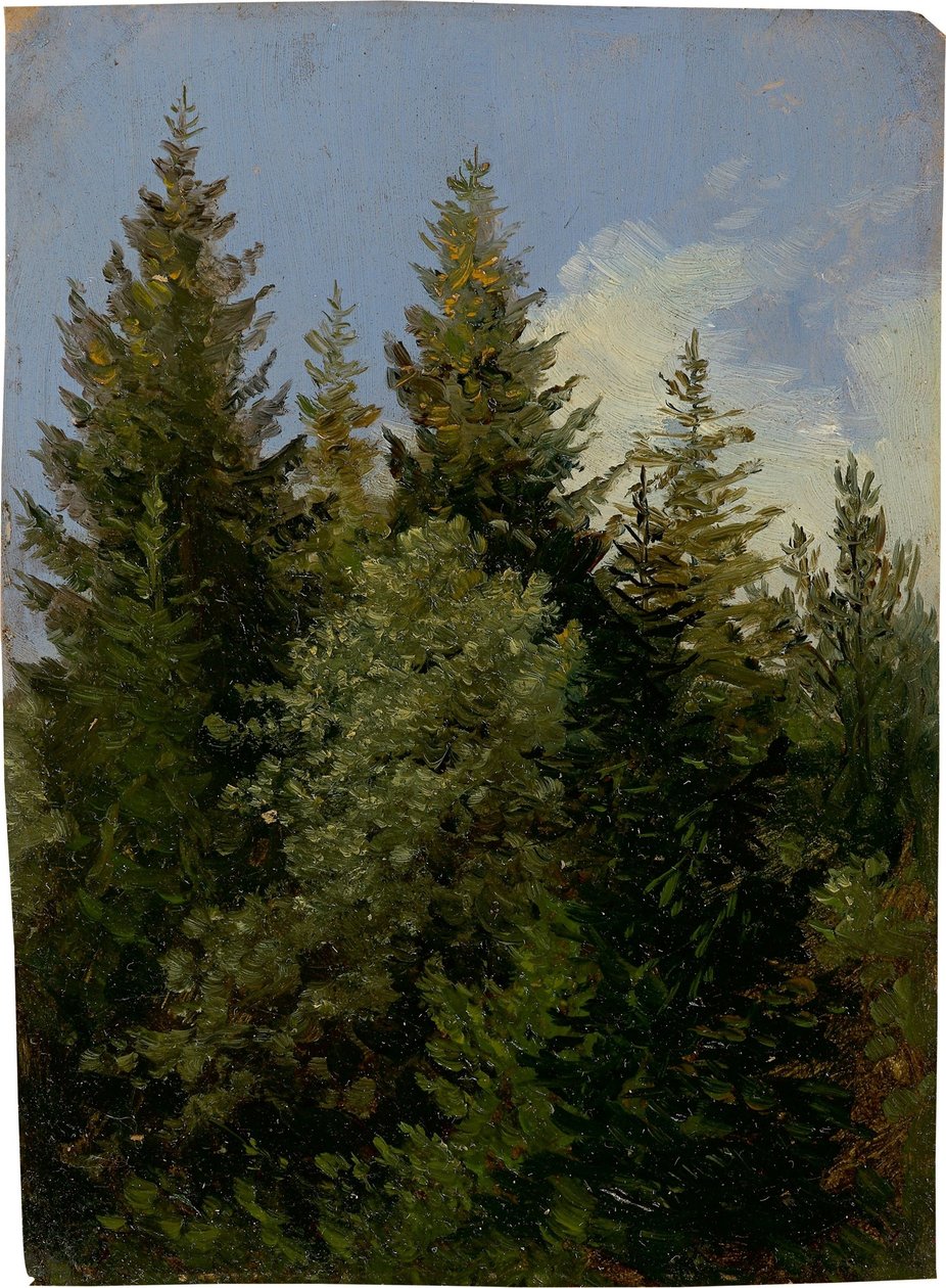Granar av Carl Gustav Carus
