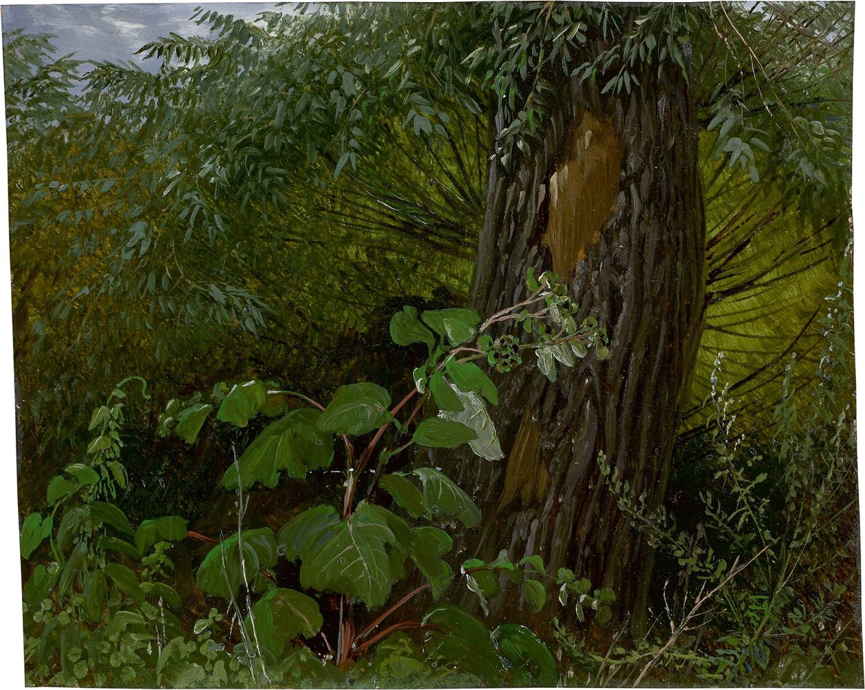 Pilstam med undervegetation av Carl Gustav Carus