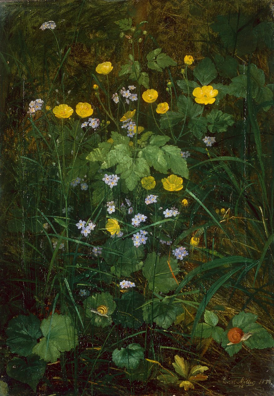 Smörblommor och Förgätmigej på ett skogsgolv av Carl Henrik Koch Moller