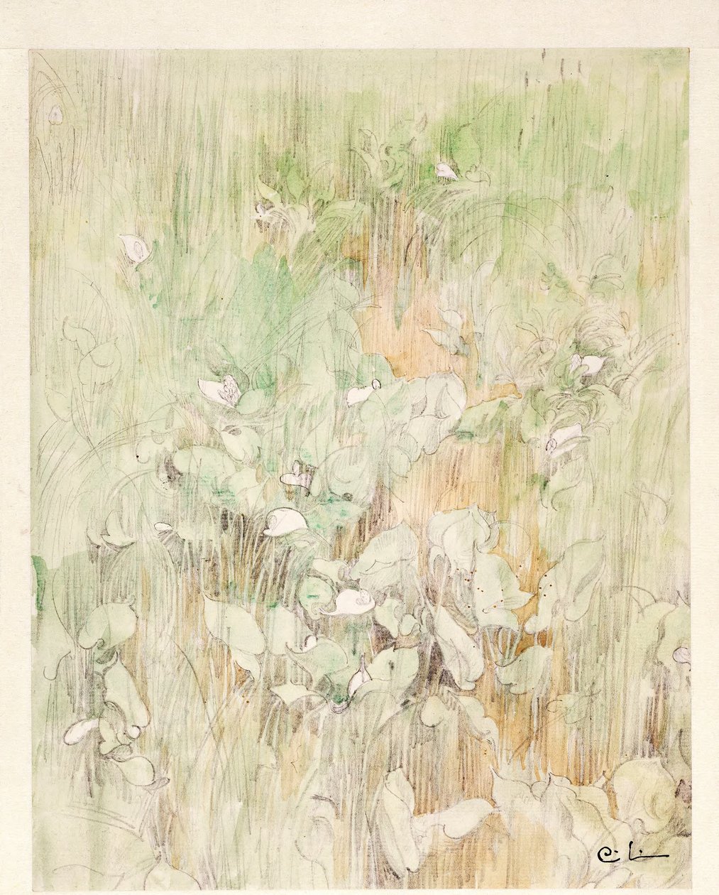 Kallor av Carl Larsson