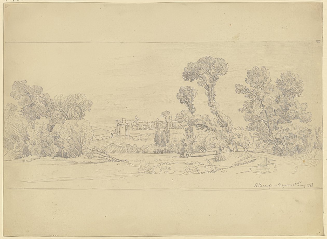 Trädstudie från Villeneuve-området nära Avignon av Carl Morgenstern