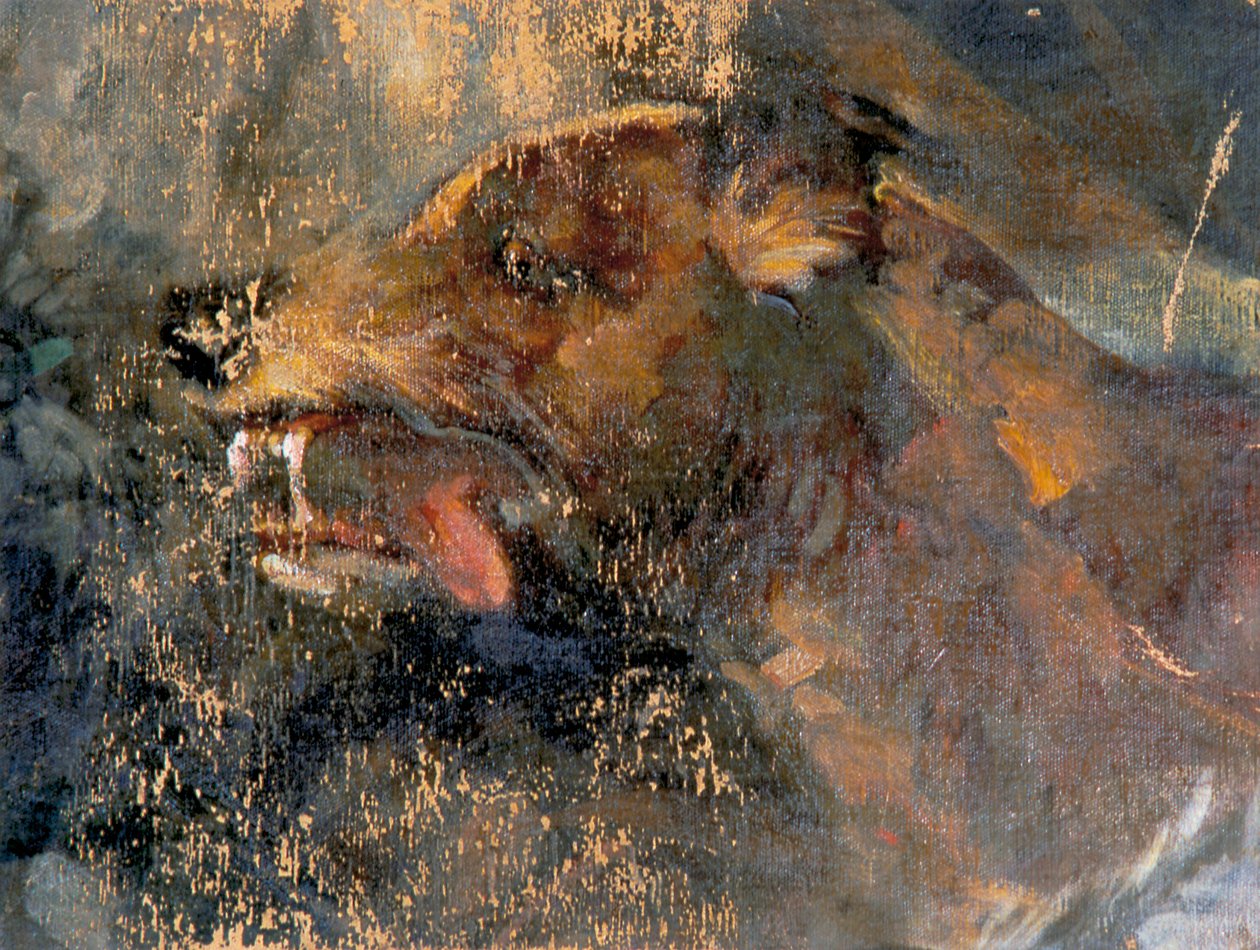 hundhuvud av Carl Rudolf Huber