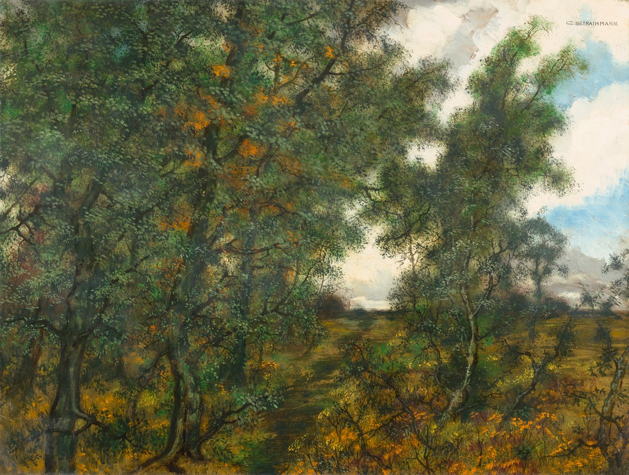 I kanten av skogen av Carl Strathmann