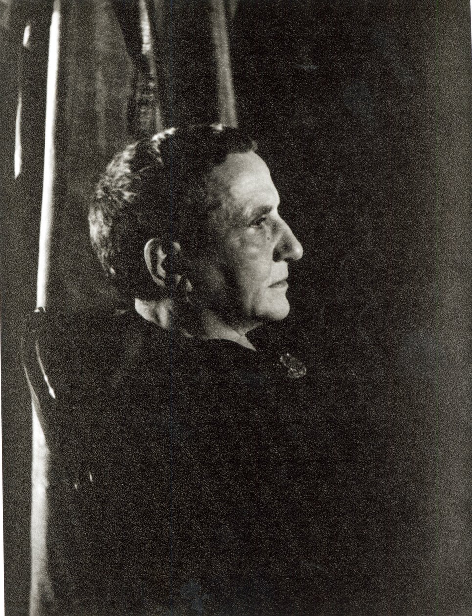 Gertrude Stein (1874-1946) 4th November 1934 (gelatin silver print) av Carl Van Vechten