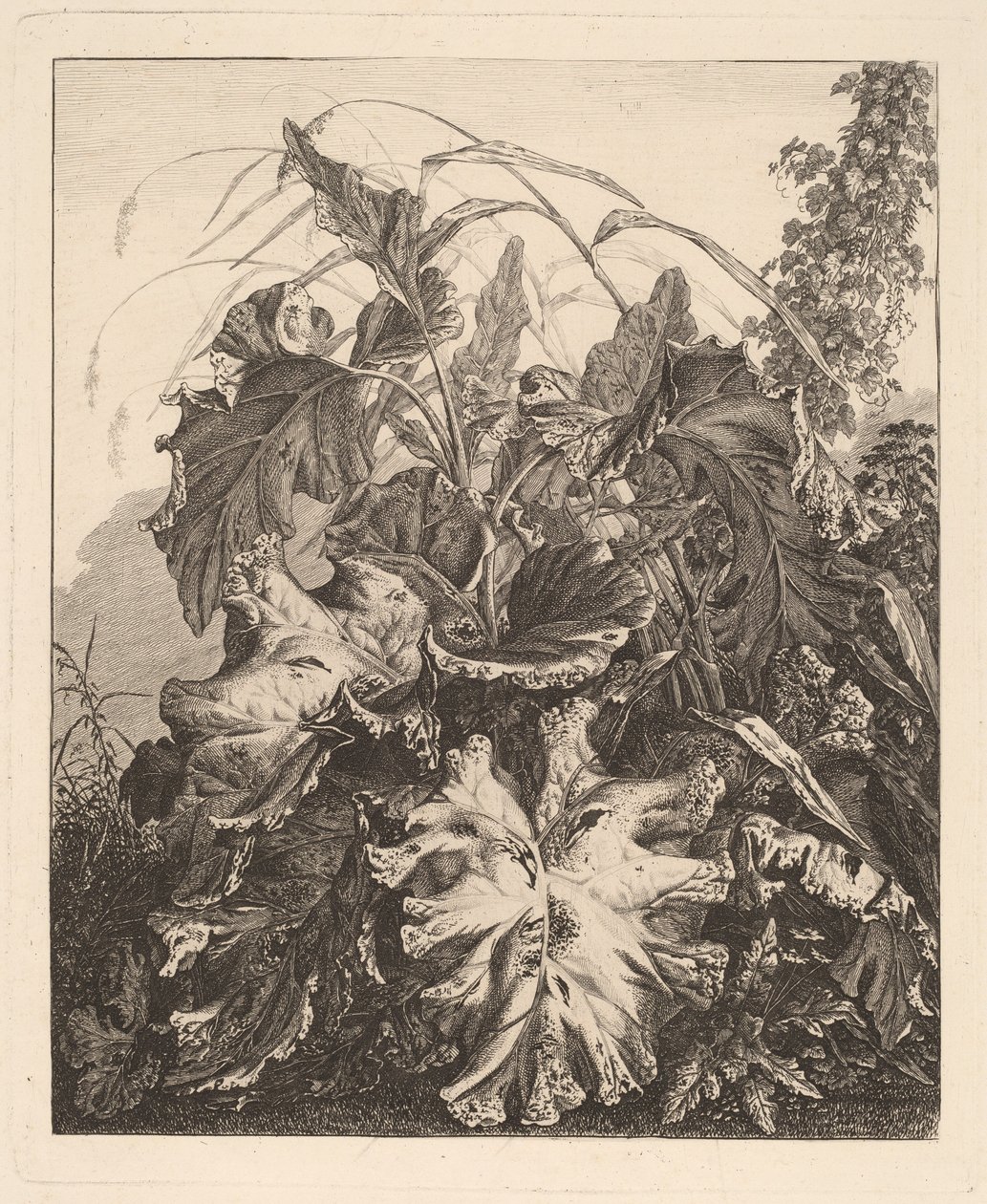 Lövverk med vass av Carl Wilhelm Kolbe