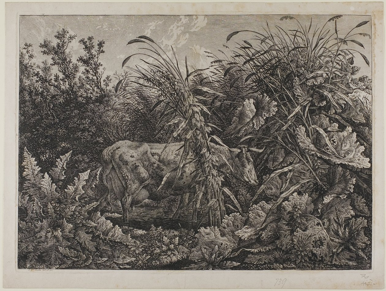 Ko i en bäck av Carl Wilhelm Kolbe the elder