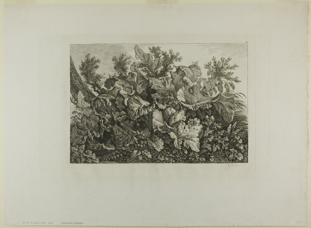 Träskväxter av Carl Wilhelm Kolbe, the elder