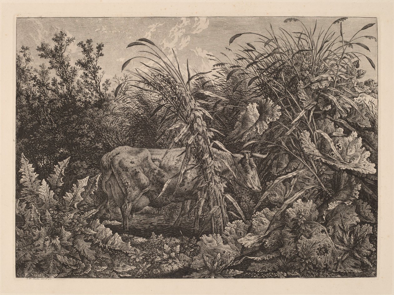 Kon i träsket av Carl Wilhelm Kolbe, the elder