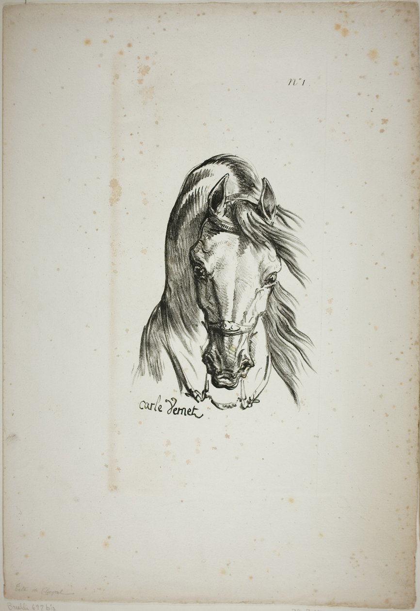 Detalj av hästhuvud, förstorat till tredubbel storlek, Norman Royal Guard, nr 1 av Carle Vernet
