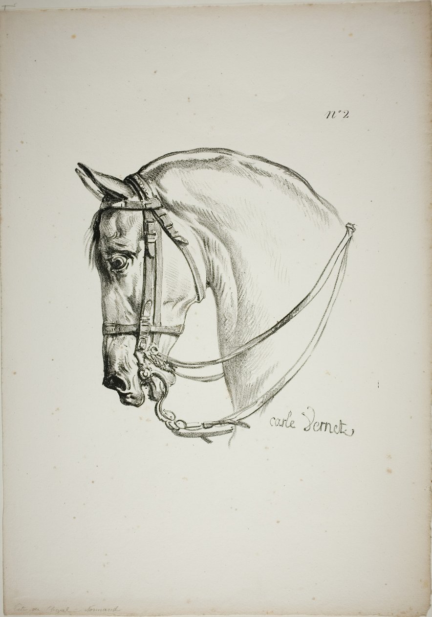Detalj av hästhuvud, förstorat till tredubbel storlek, Norman Royal Guard, nr 2 av Carle Vernet