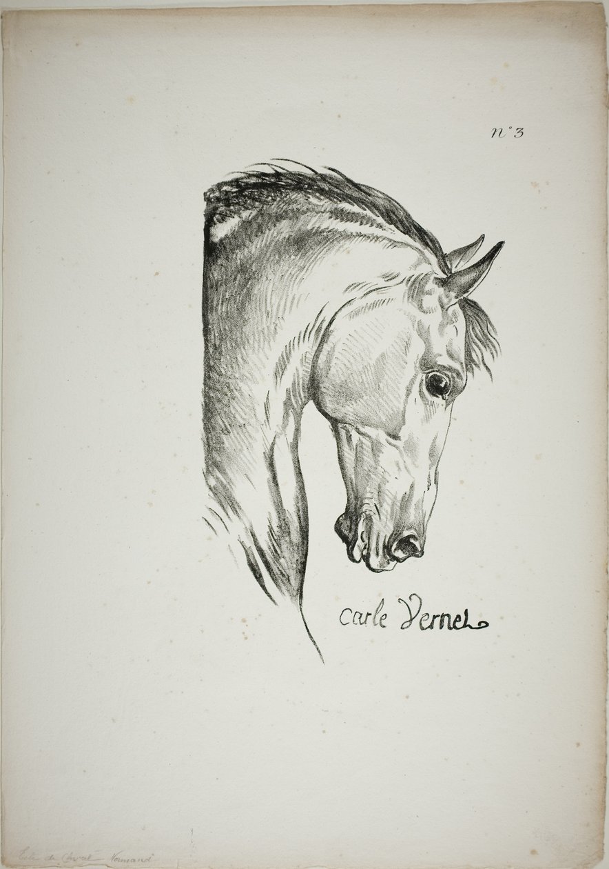 Detalj av hästhuvud, förstorat till tredubbel storlek, Norman Royal Guard, nr 3 av Carle Vernet