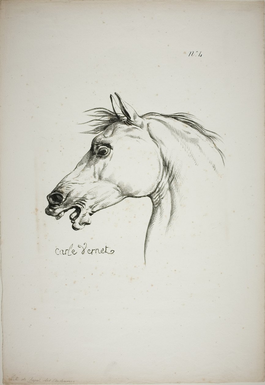 Detalj av hästhuvud, förstorat till tredubbel storlek, Norman Royal Guard, nr 4 av Carle Vernet