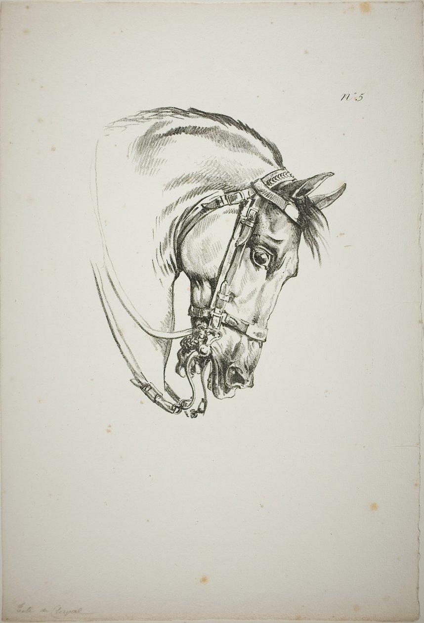 Detalj av hästhuvudet, förstorat till tredubbel storlek, Norman Royal Guard, nr 5, First Limoges Horse av Carle Vernet