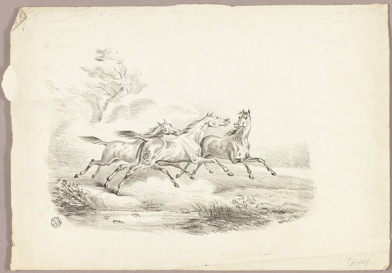 Tre hästar springer av Carle Vernet