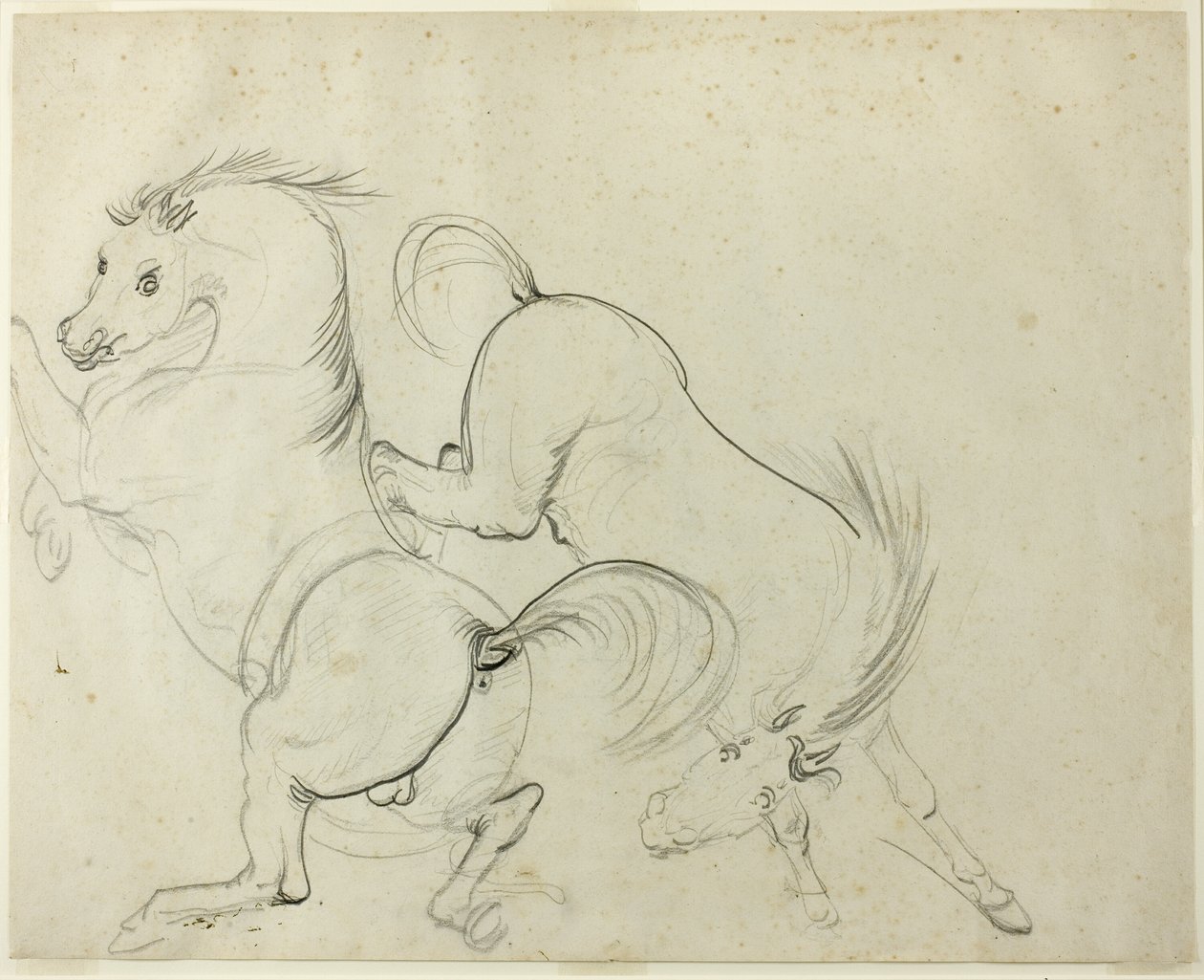 Two Horses Cavorting (recto); Man på en sparkande häst (verso) av Carle Vernet