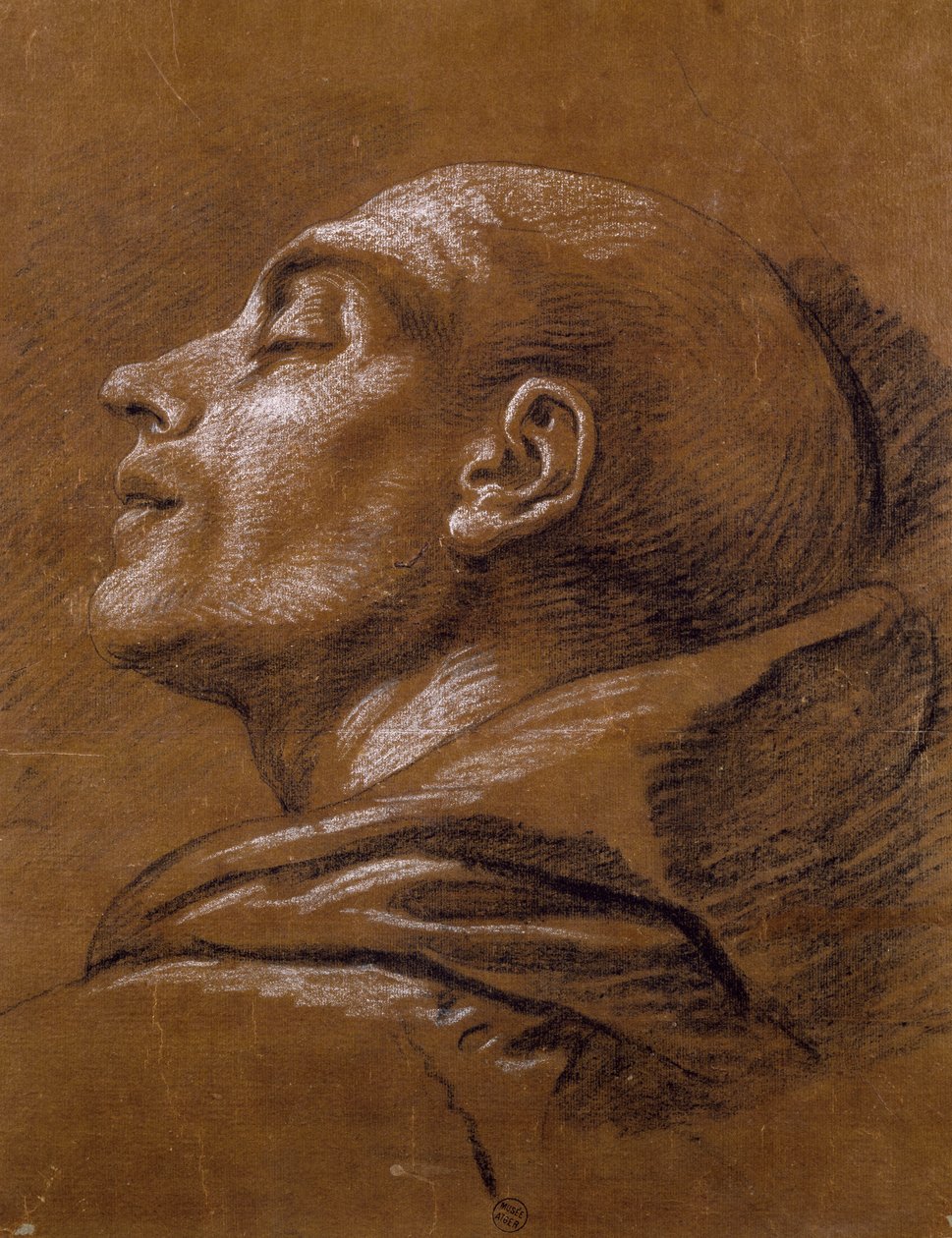 Studie, av Carle van Loo (1705-1765), sangvinisk teckning av Carle van Loo