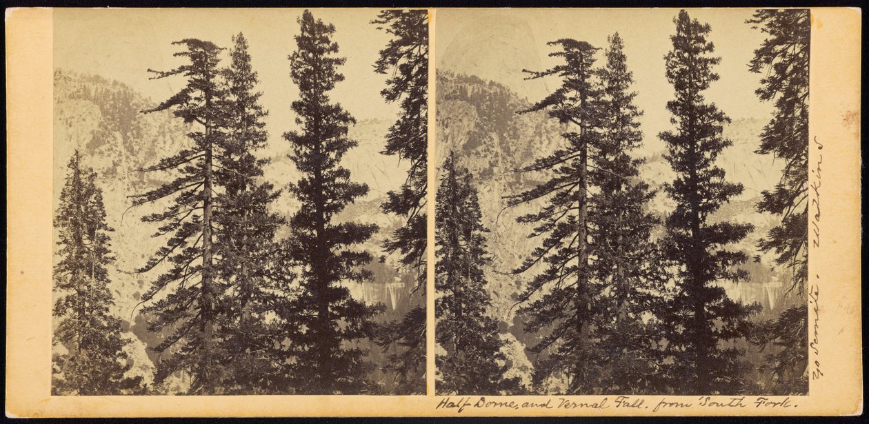 Half Dome och Vernal Fall, från South Fork av Carleton E. Watkins