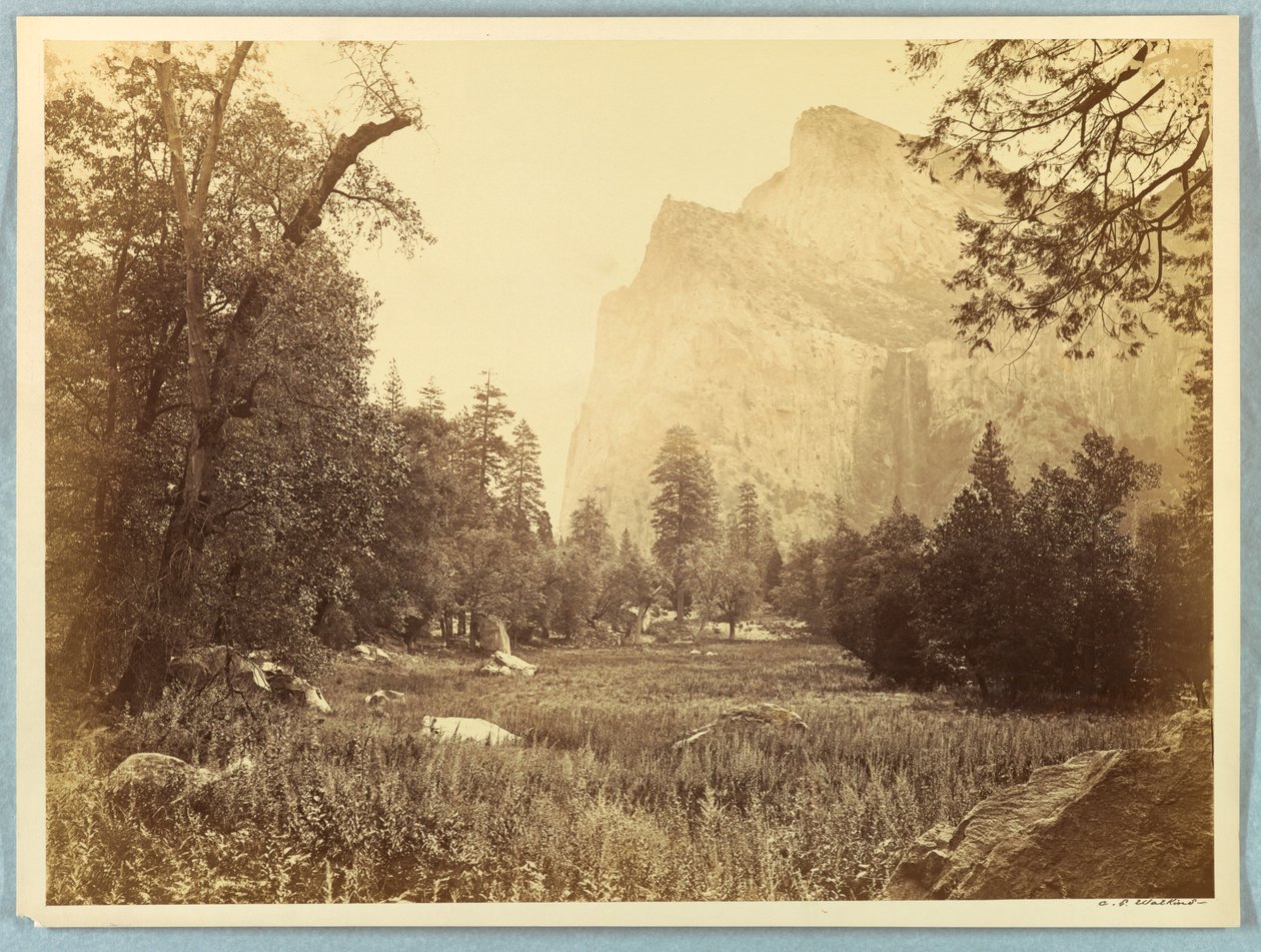 Drive, Brudslöja, Yosemite av Carleton E. Watkins