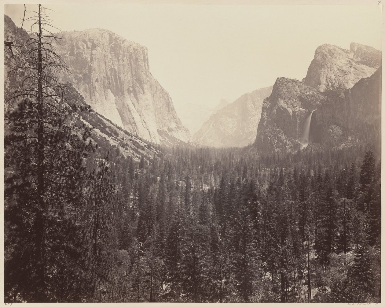 Yosemite Valley från Mariposa Trail av Carleton E. Watkins