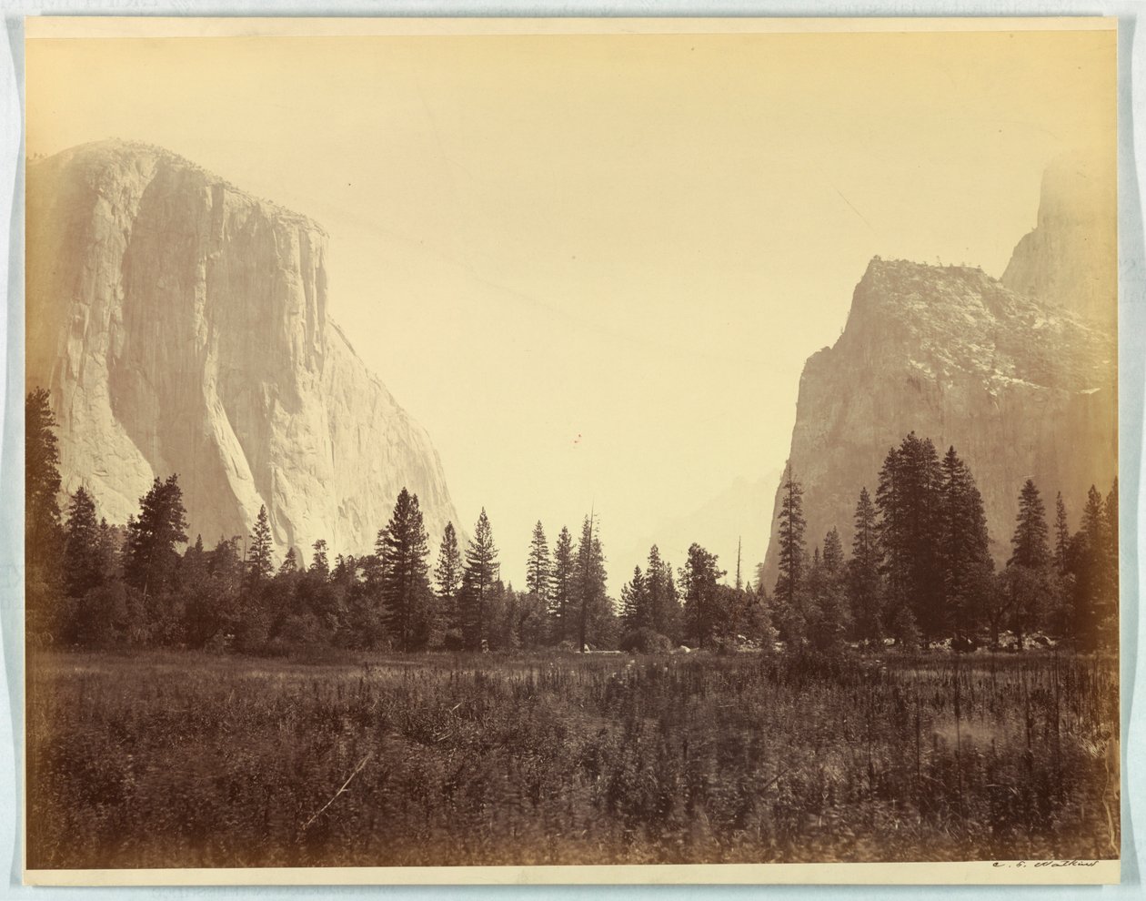 Uppför dalen från foten av Mariposa Trail, Yosemite, nr. 9 av Carleton E. Watkins