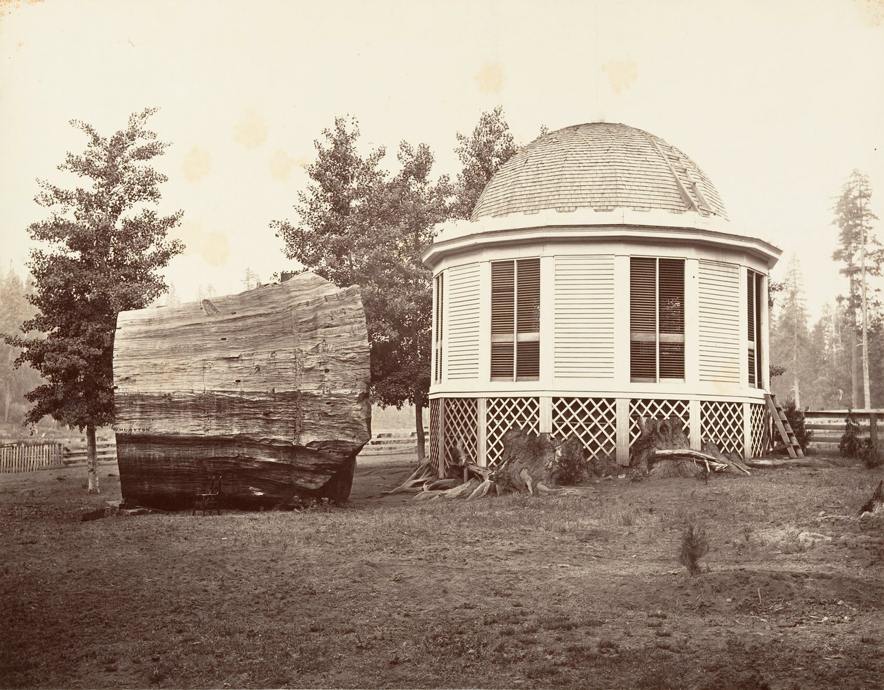 Huset över en stubbe av ett stort träd, 1865-66, tryckt ca. 1876. av Carleton Emmons Watkins