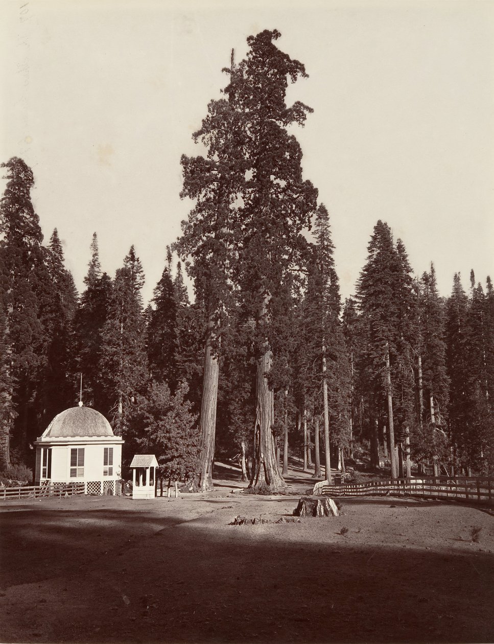 The Sentinel, 315 fot, 1865-66, tryckt ca. 1876. av Carleton Emmons Watkins