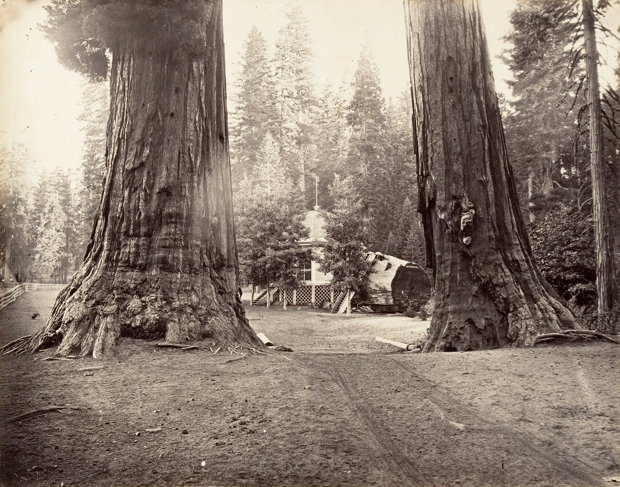 The Sentinels, 315 fot, Yosemite, ca. 1872, tryckt ca. 1876. av Carleton Emmons Watkins