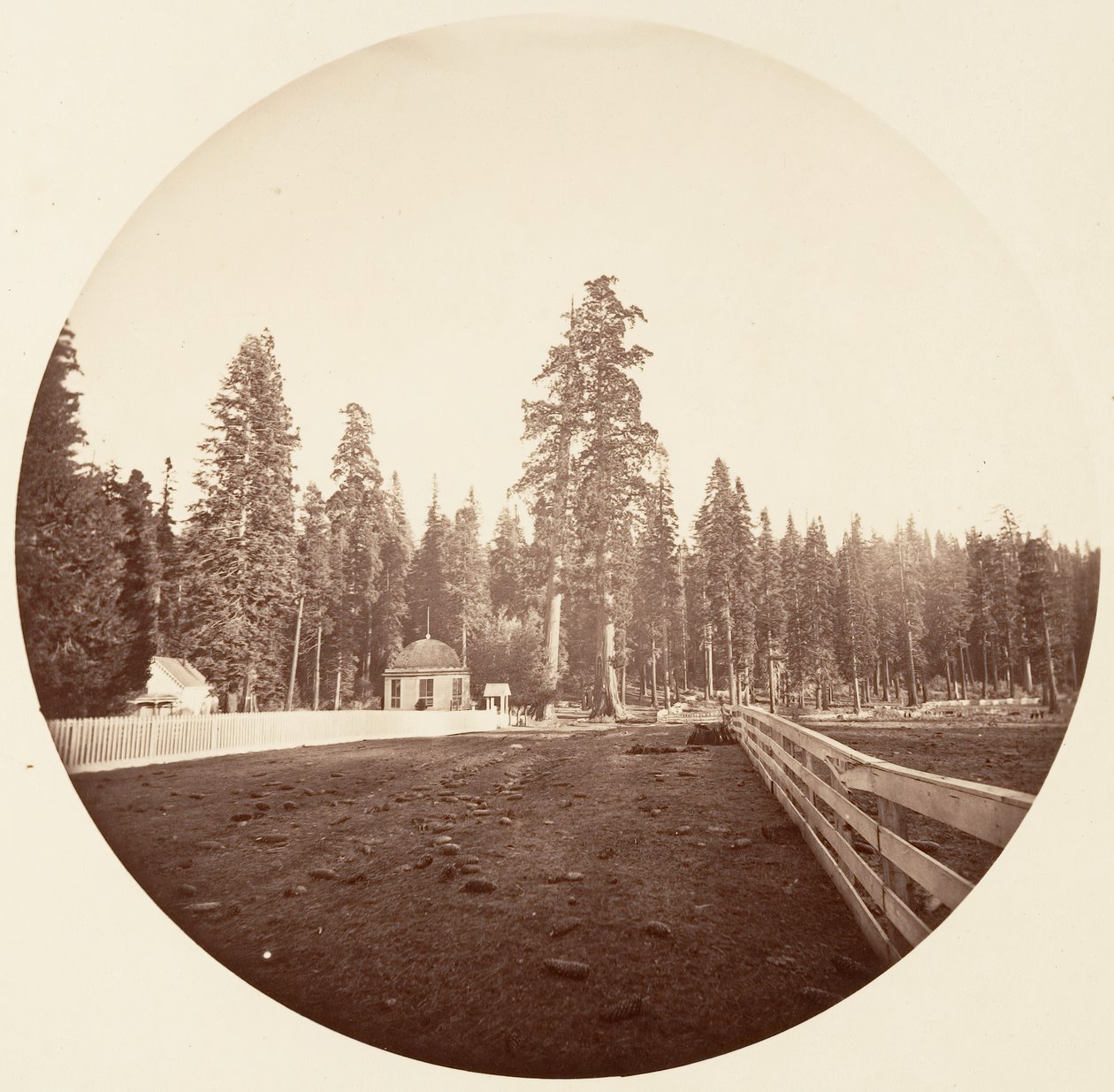 Vaktposterna. C. Grove, ca. 1878. av Carleton Emmons Watkins