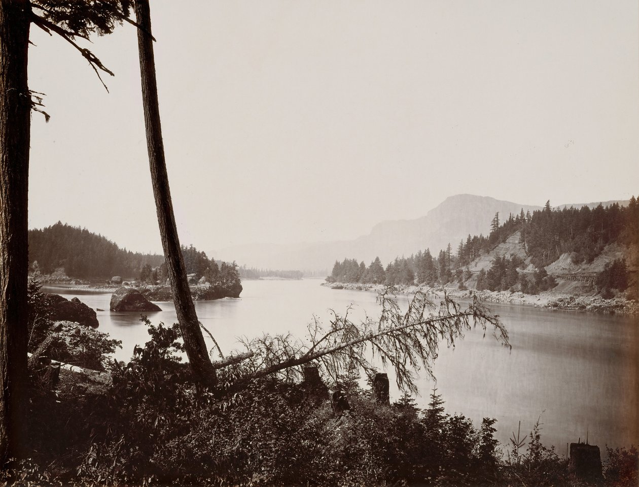 Utsikt över Columbia, Cascades, 1867. av Carleton Emmons Watkins