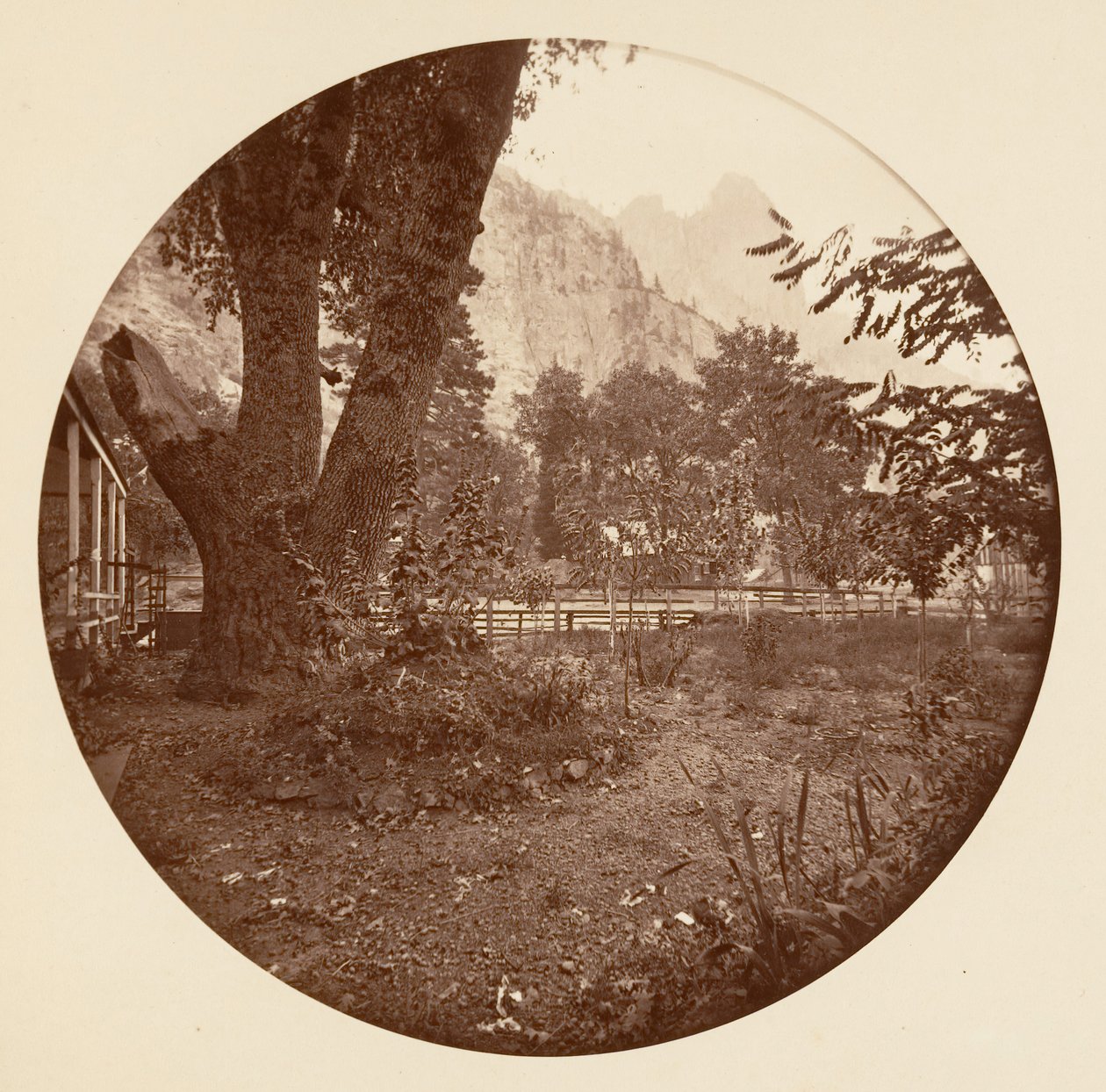 [Yosemite National Park, Kalifornien], ca. 1878. av Carleton Emmons Watkins