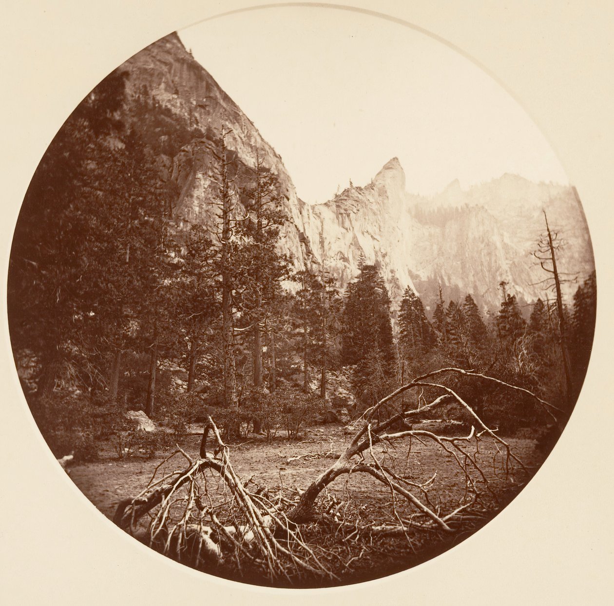 [Yosemite National Park, Kalifornien], ca. 1878. av Carleton Emmons Watkins