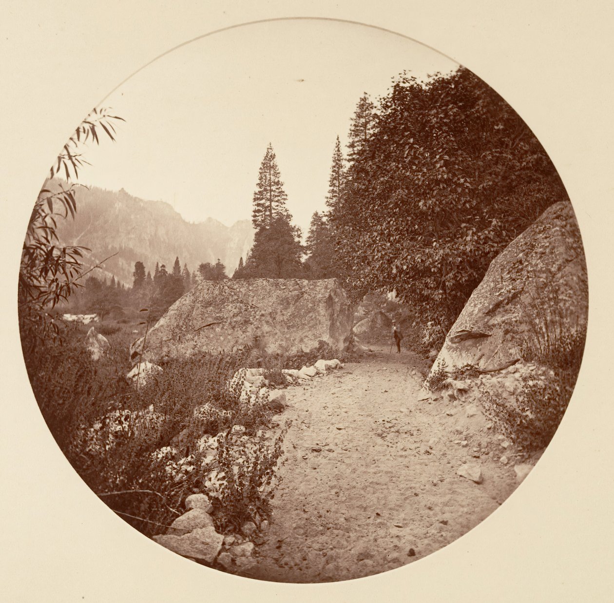 [Yosemite National Park, Kalifornien], ca. 1878. av Carleton Emmons Watkins