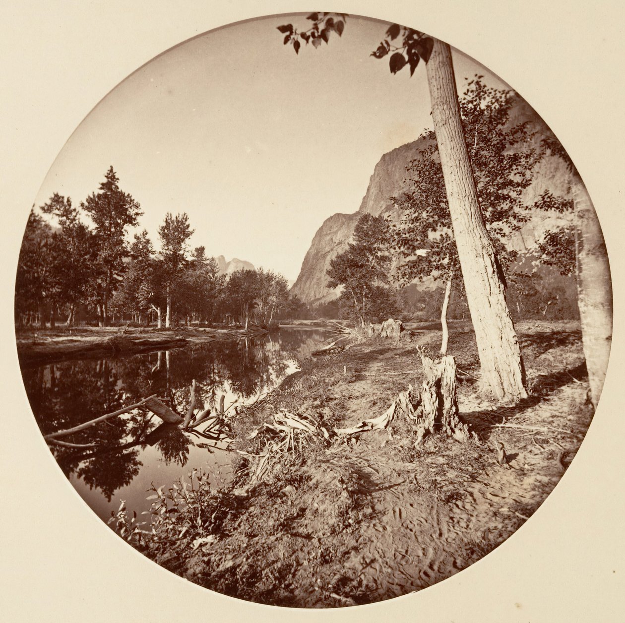 [Yosemite National Park, Kalifornien], ca. 1878. av Carleton Emmons Watkins