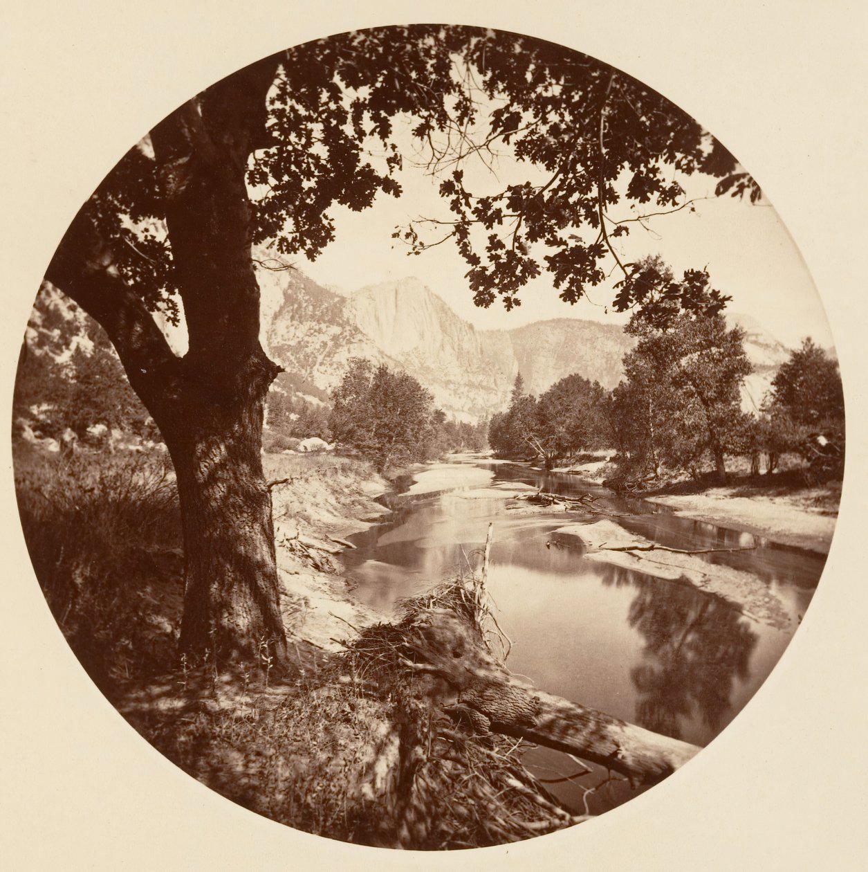 [Yosemite National Park, Kalifornien], ca. 1878. av Carleton Emmons Watkins
