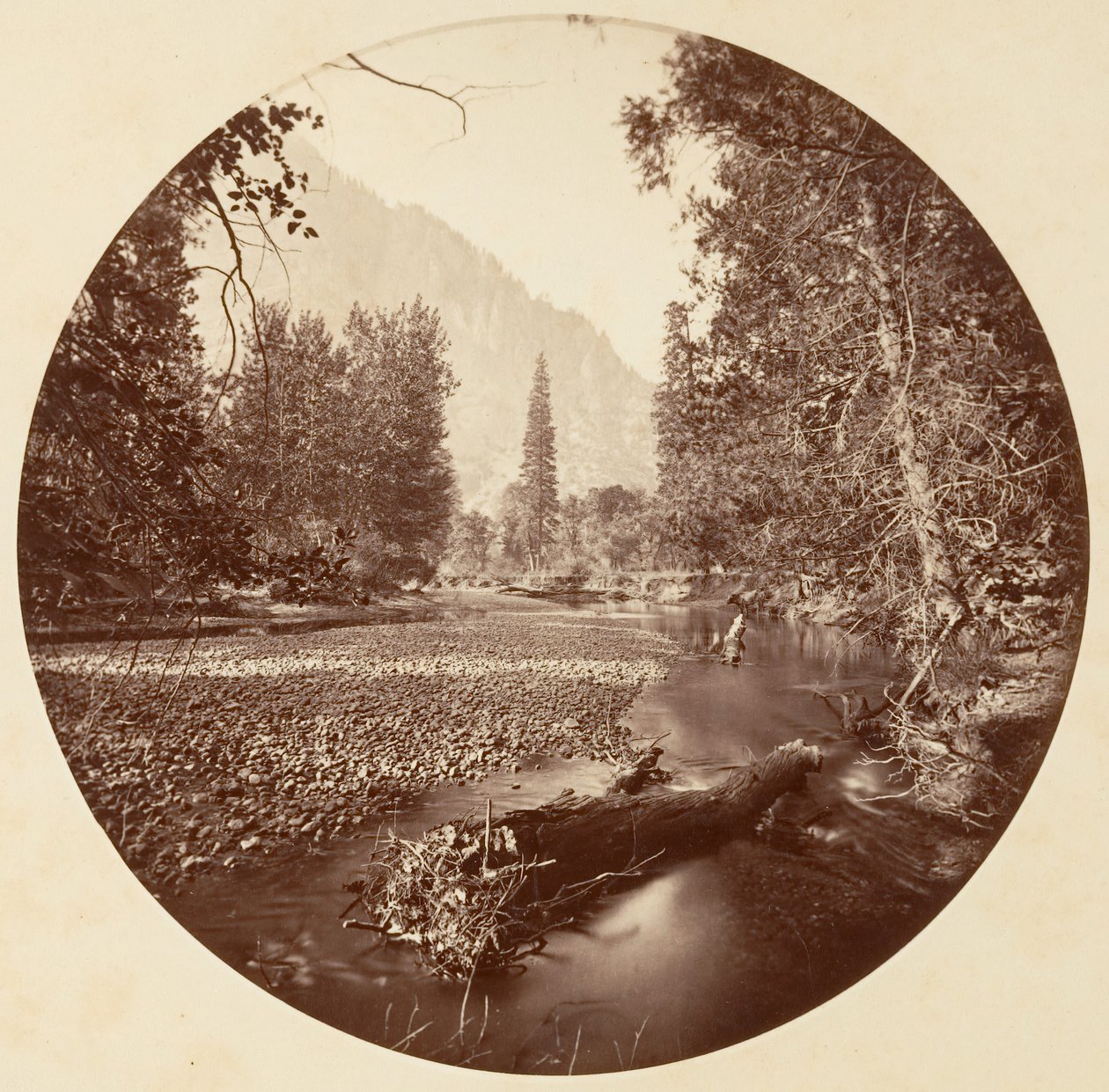 [Yosemite National Park, Kalifornien], ca. 1878. av Carleton Emmons Watkins