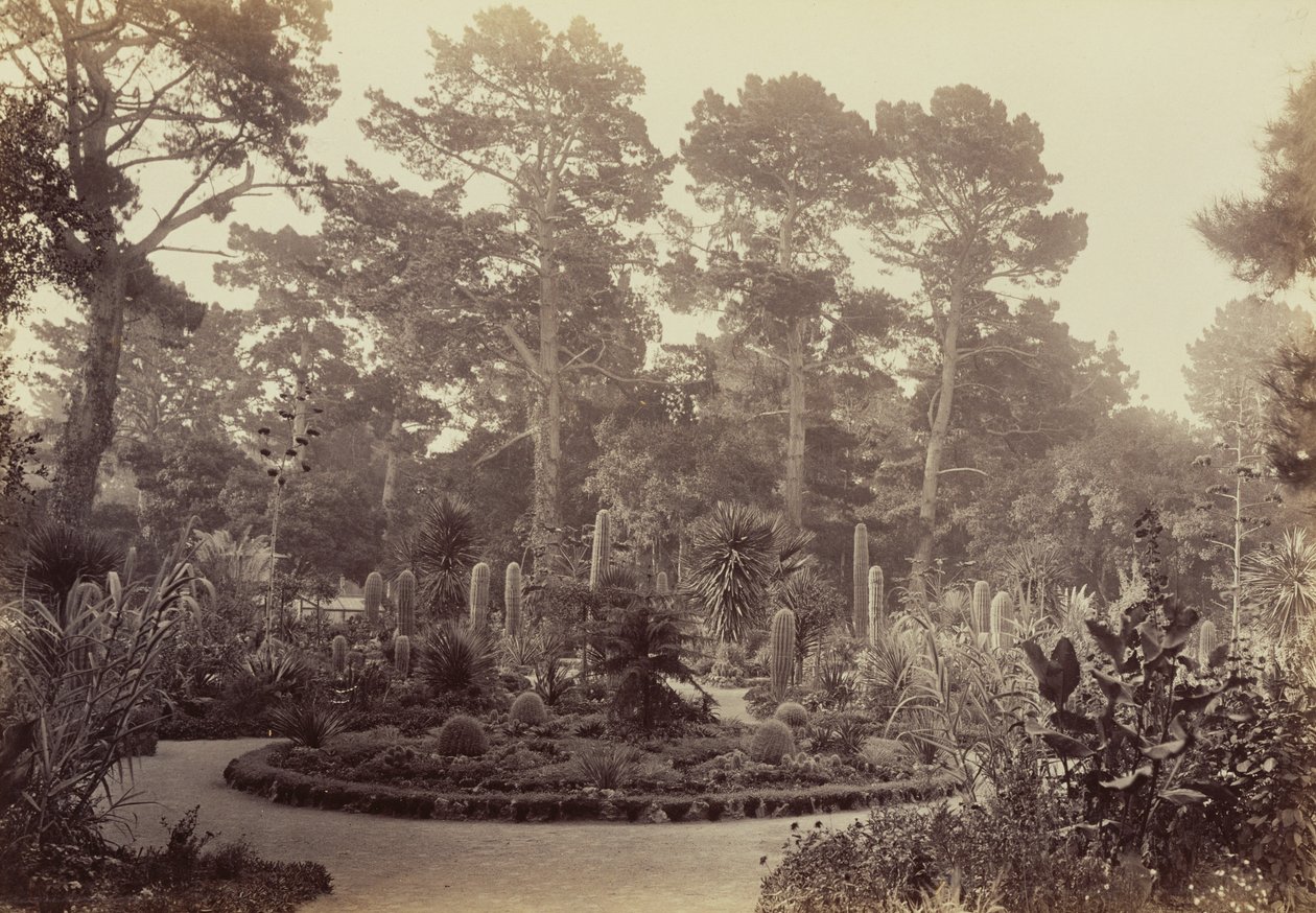 [Arizona-trädgården, Hotel del Monte, Monterey] av Carleton Watkins