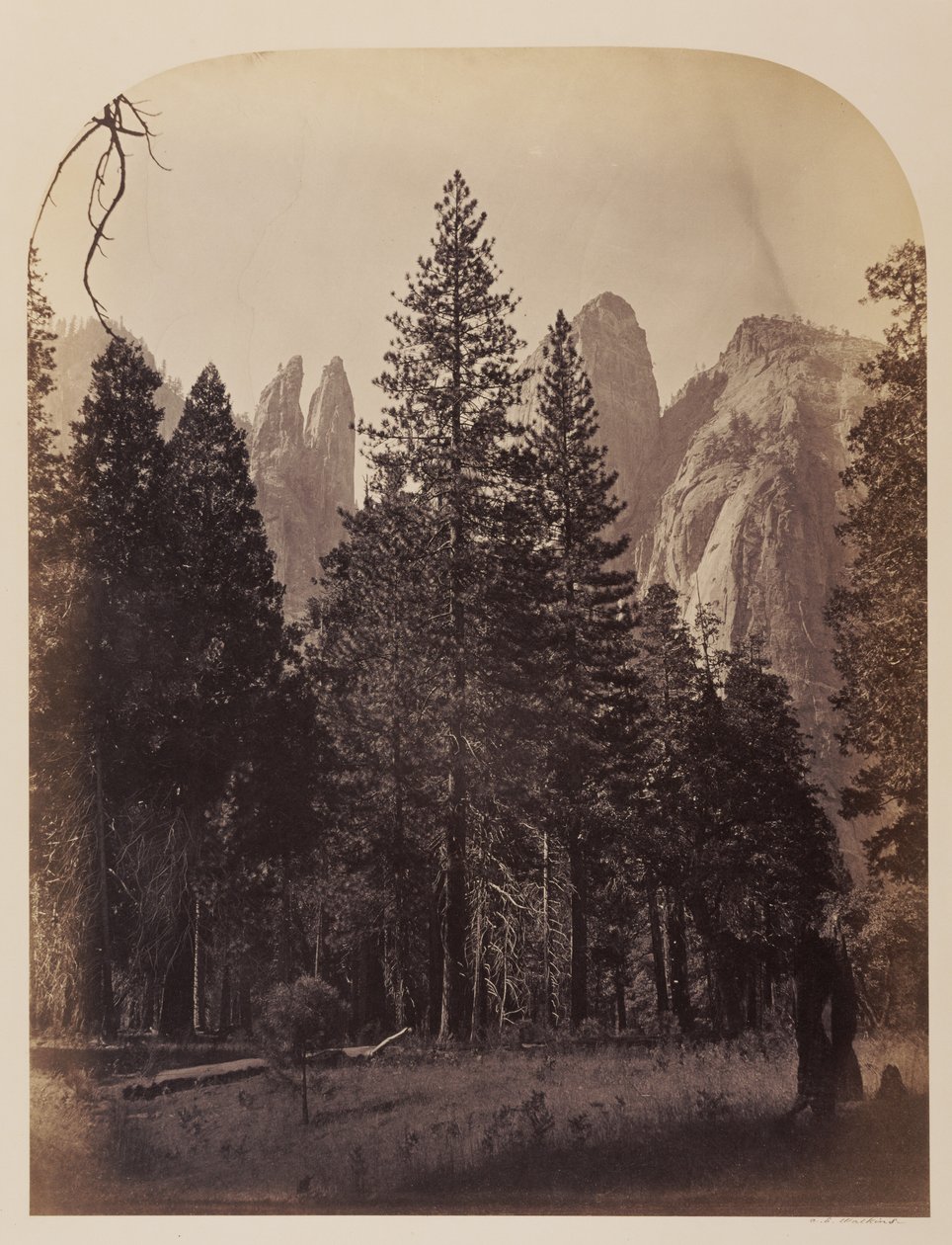 Katedralspiror - Yosemite av Carleton Watkins