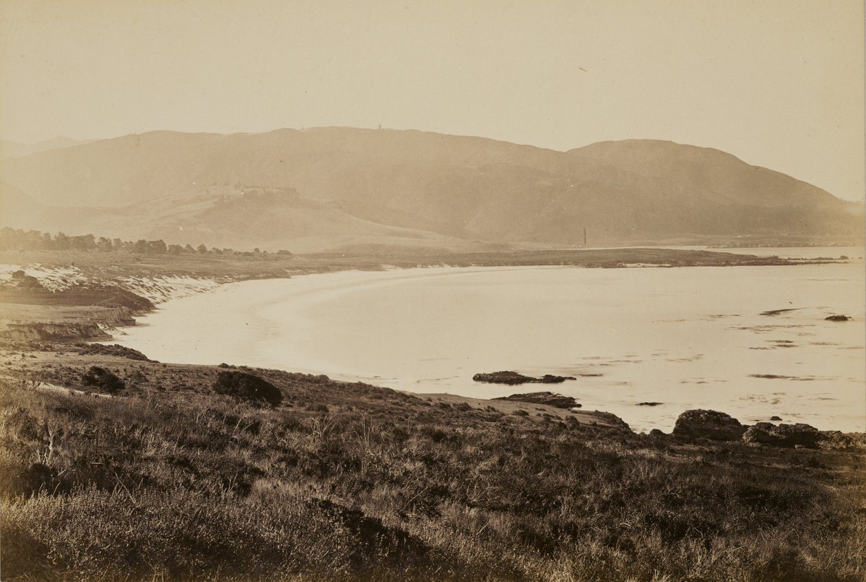 [Kustvy, Monterey] av Carleton Watkins