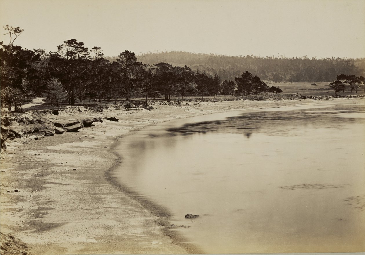 [Utsikt över kusten nära Monterey] av Carleton Watkins