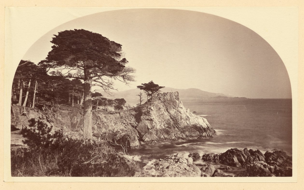 [Cypress Point från Cypress Drive, Monterey, Kalifornien] av Carleton Watkins