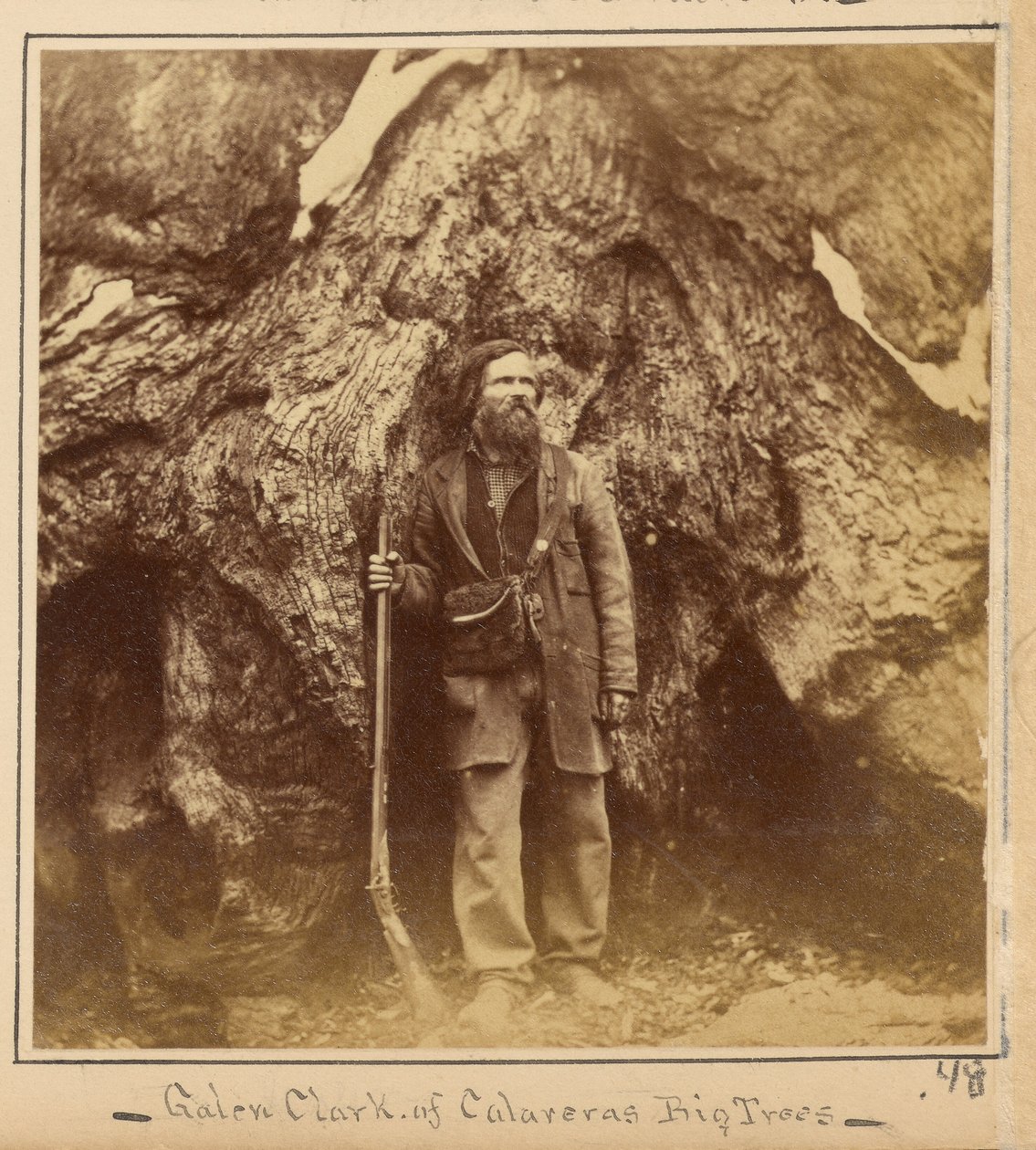 Galen Clark, Esq., Mariposa Grove, Mariposa County, Kalifornien av Carleton Watkins