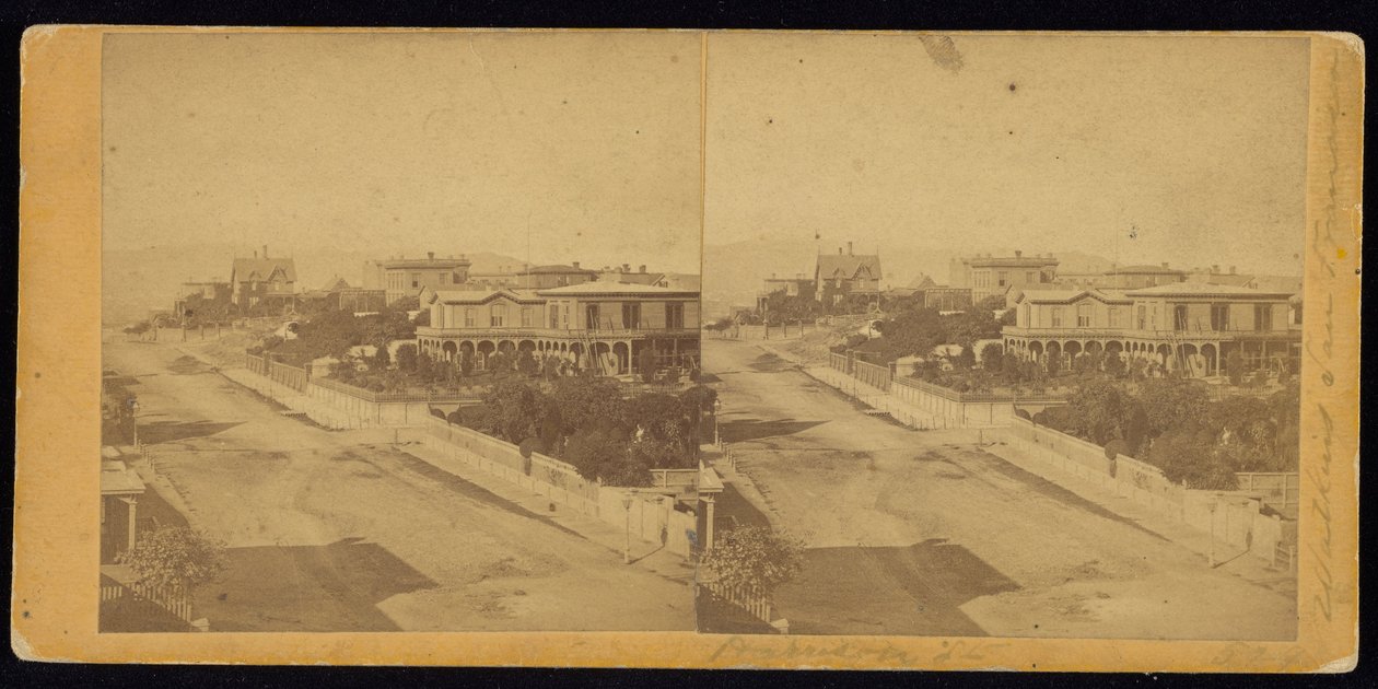 Harrison St av Carleton Watkins