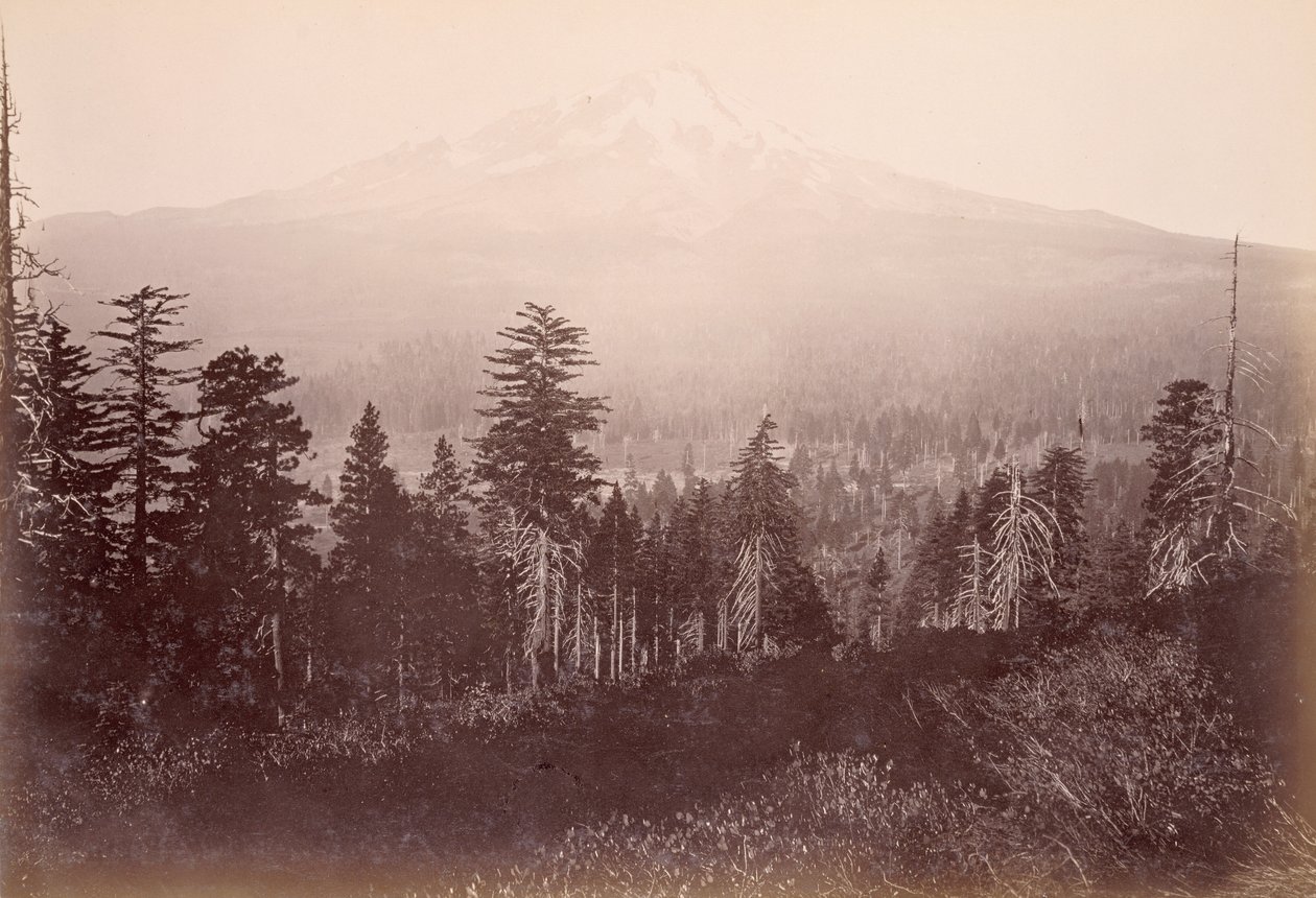 Mount Shasta av Carleton Watkins