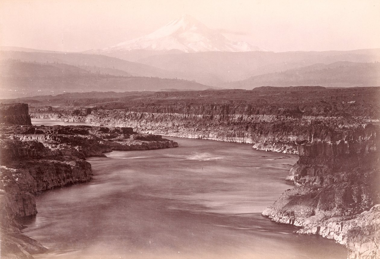 [Mount Hood från The Dalles, Oregon] av Carleton Watkins